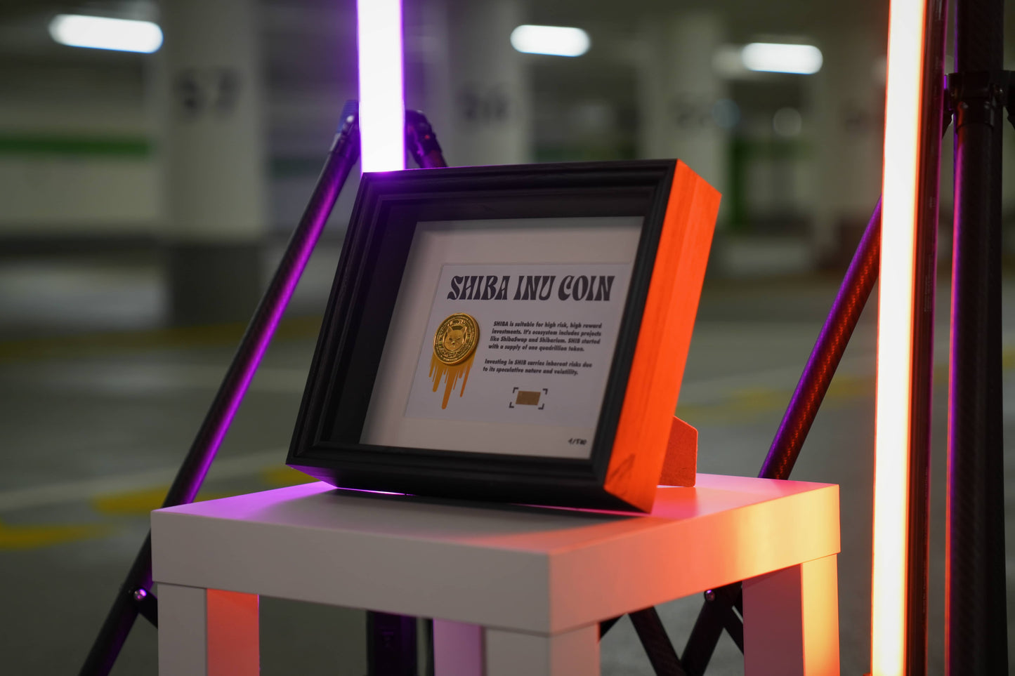 Shiba Inu Coin Frame