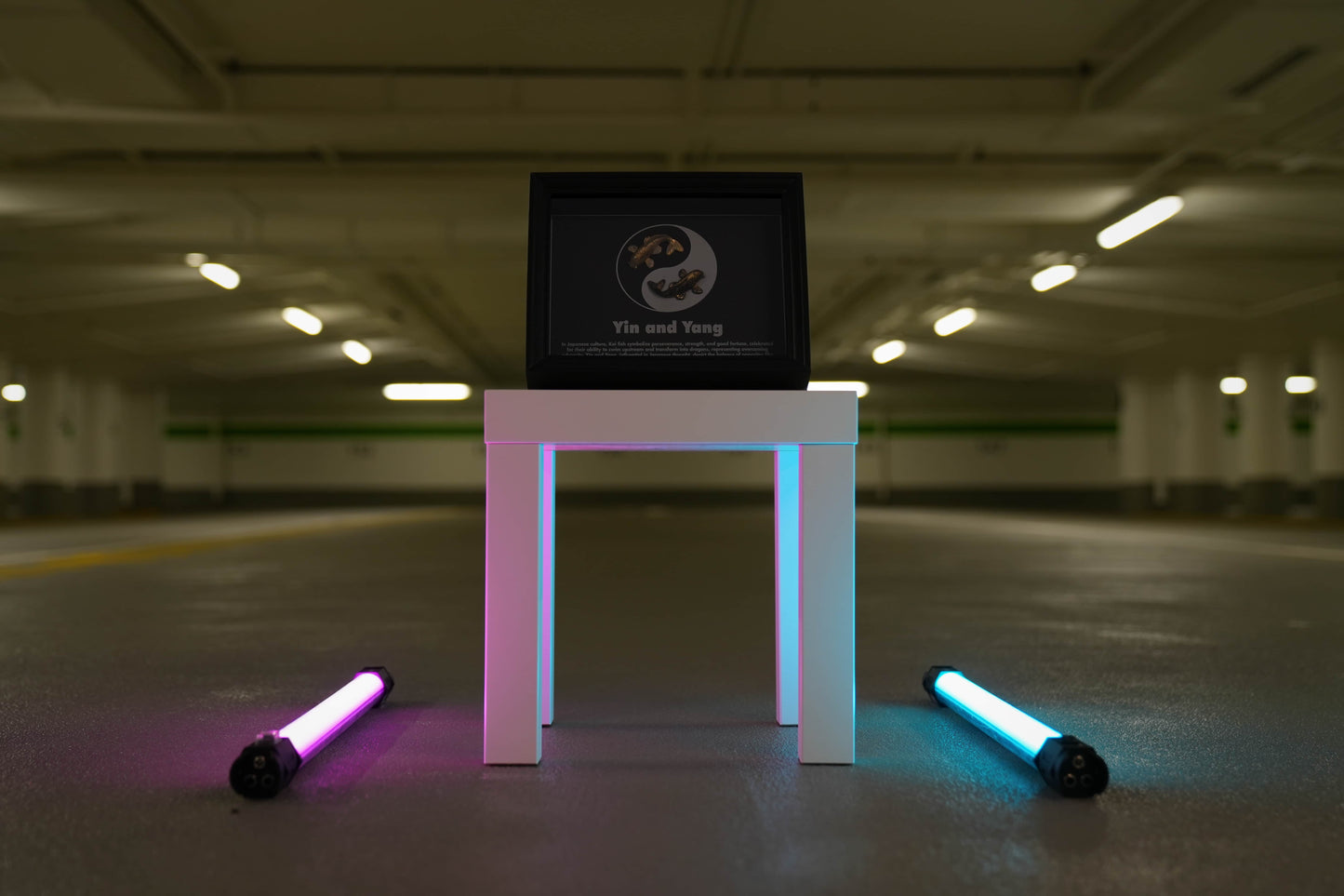 Yin & Yang Frame