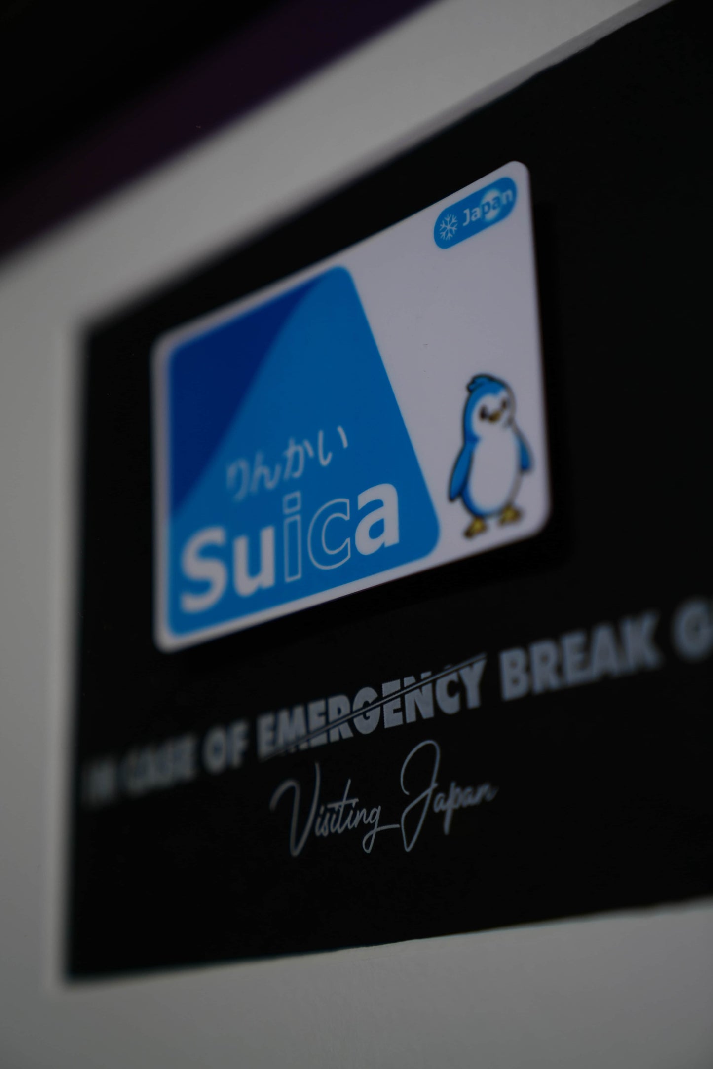 Suica Card Blue