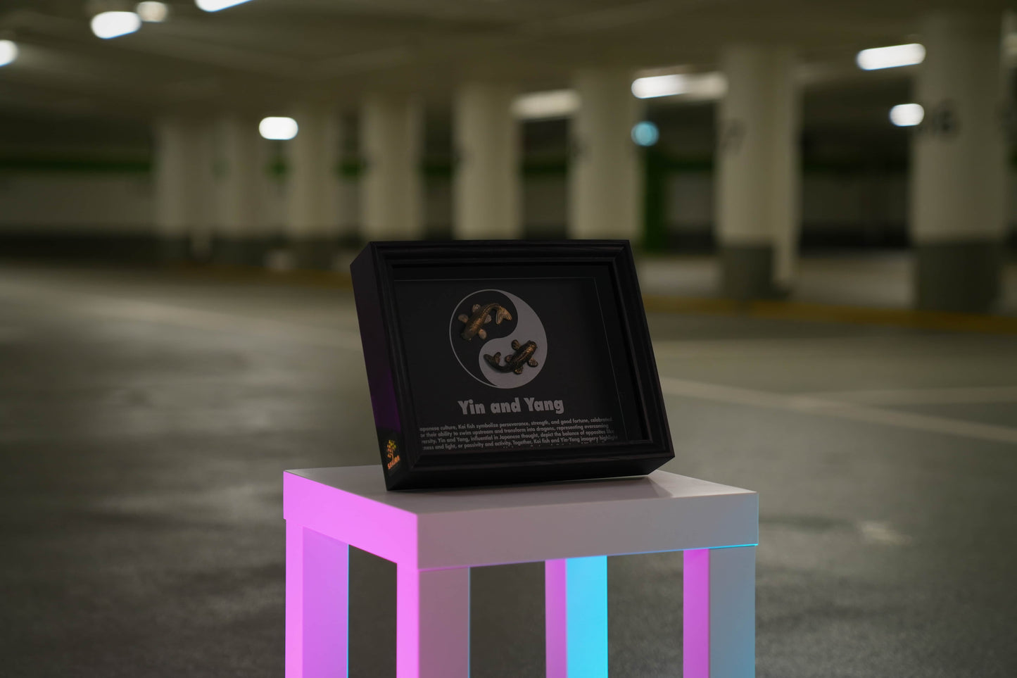 Yin & Yang Frame