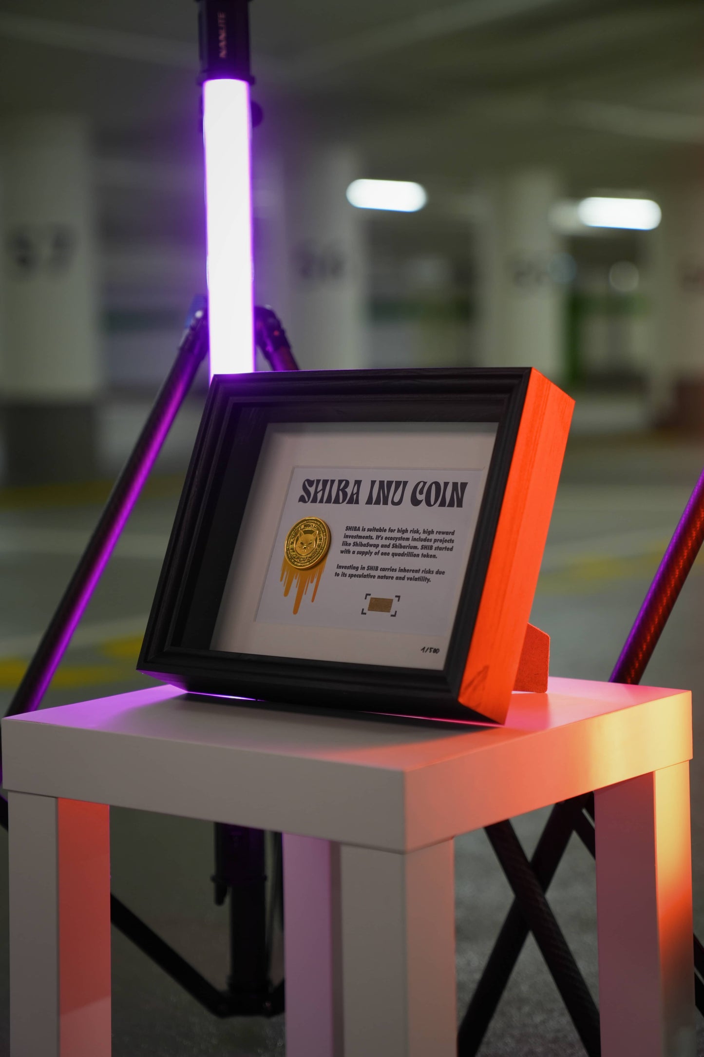 Shiba Inu Coin Frame