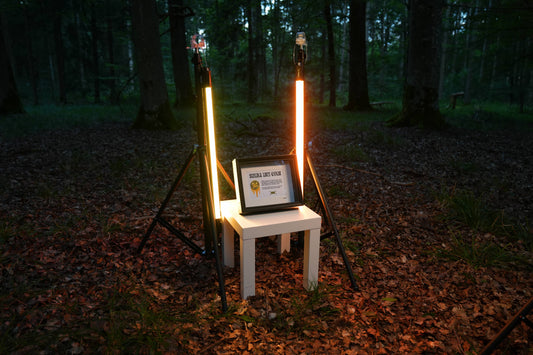 Shiba Inu Coin Frame