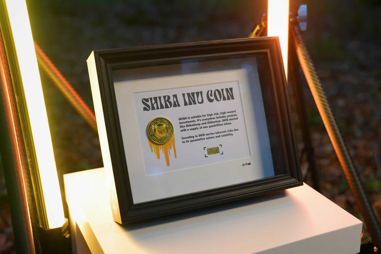 Shiba Inu Coin Frame