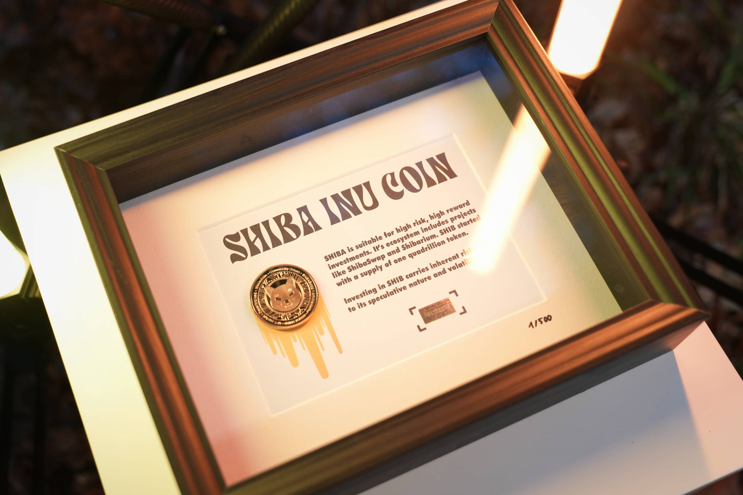 Shiba Inu Coin Frame