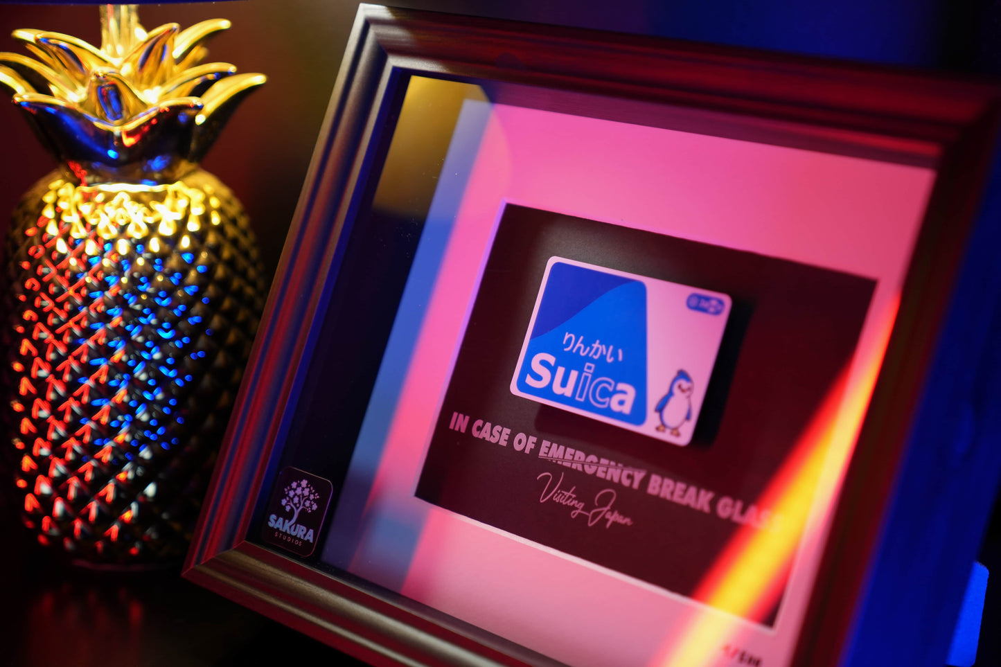 Suica Card Blue