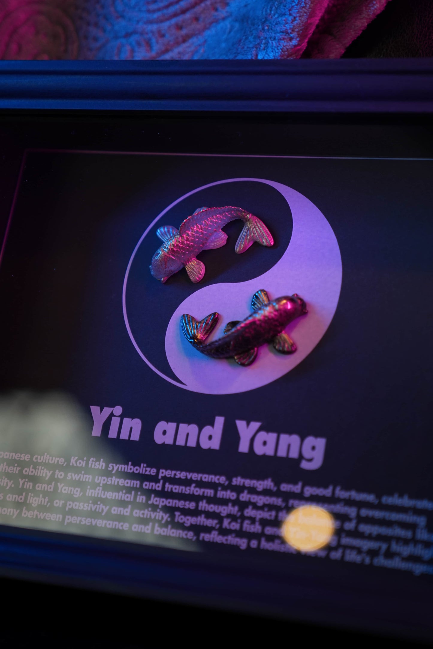 Yin & Yang Frame