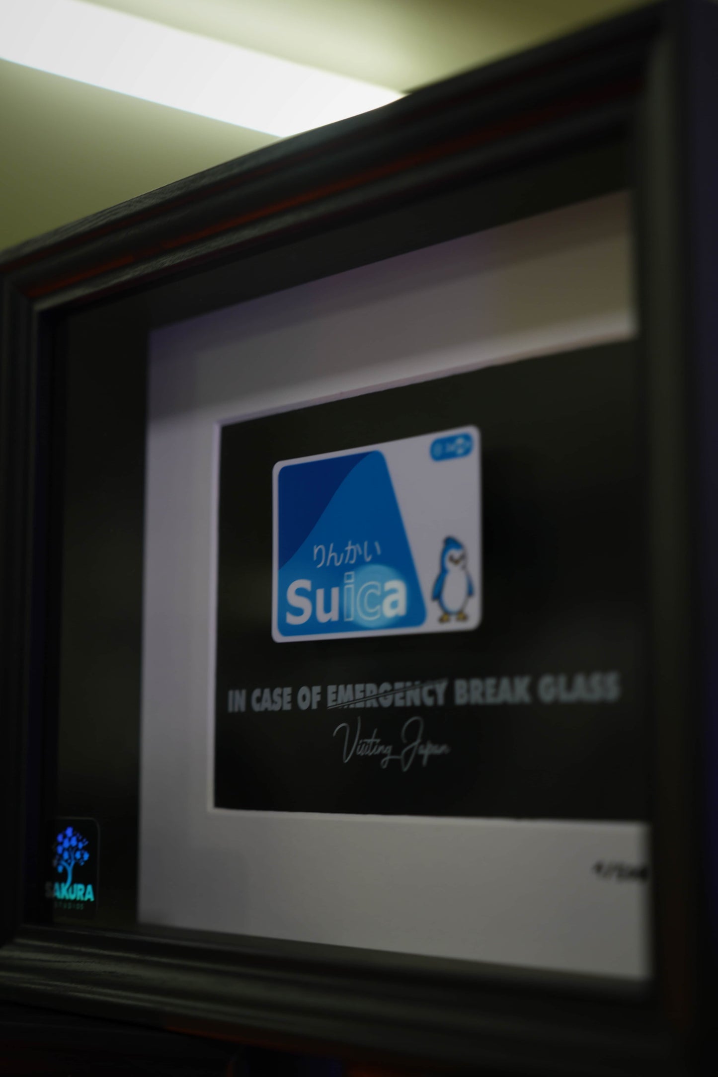 Suica Card Blue