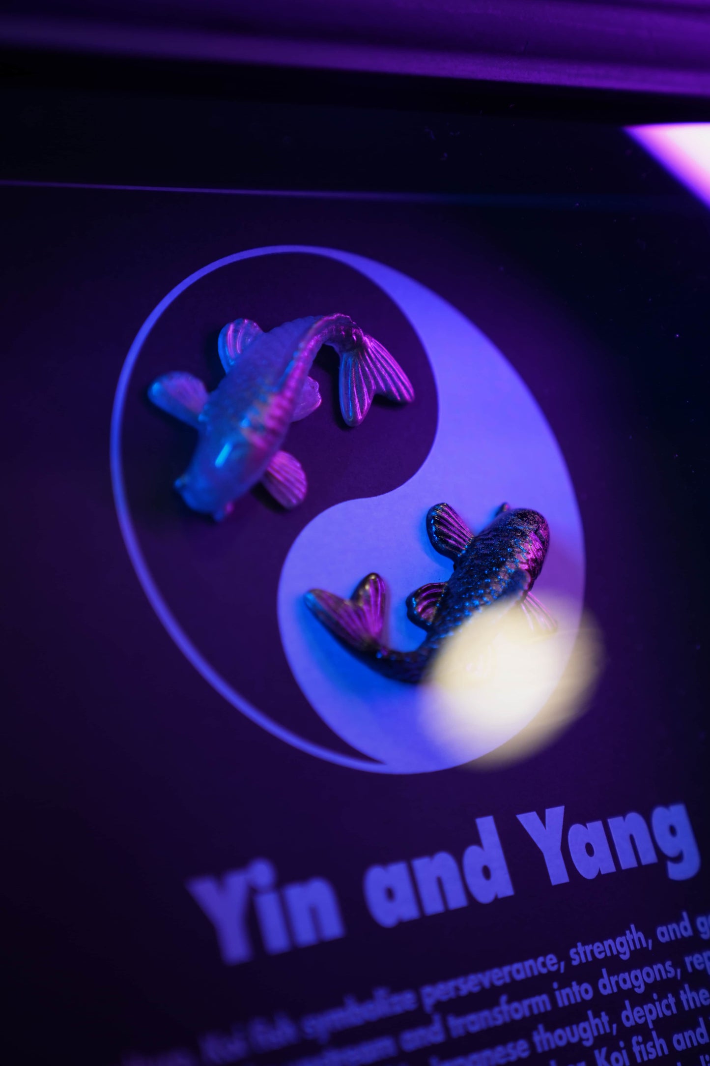 Yin & Yang Frame